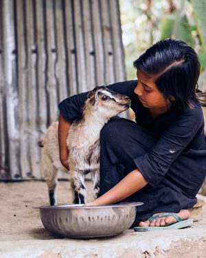 geit compassioncadeaus