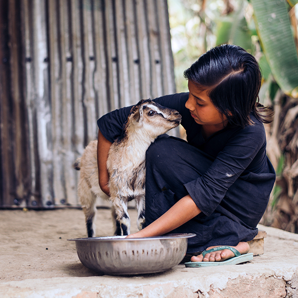 geit compassioncadeaus