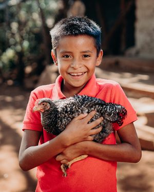 Kippen Compassioncadeaus