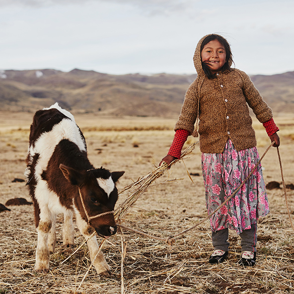 Koe Compassioncadeaus